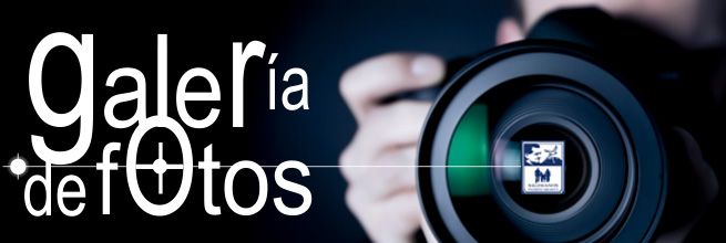 GALERIA DE FOTOS